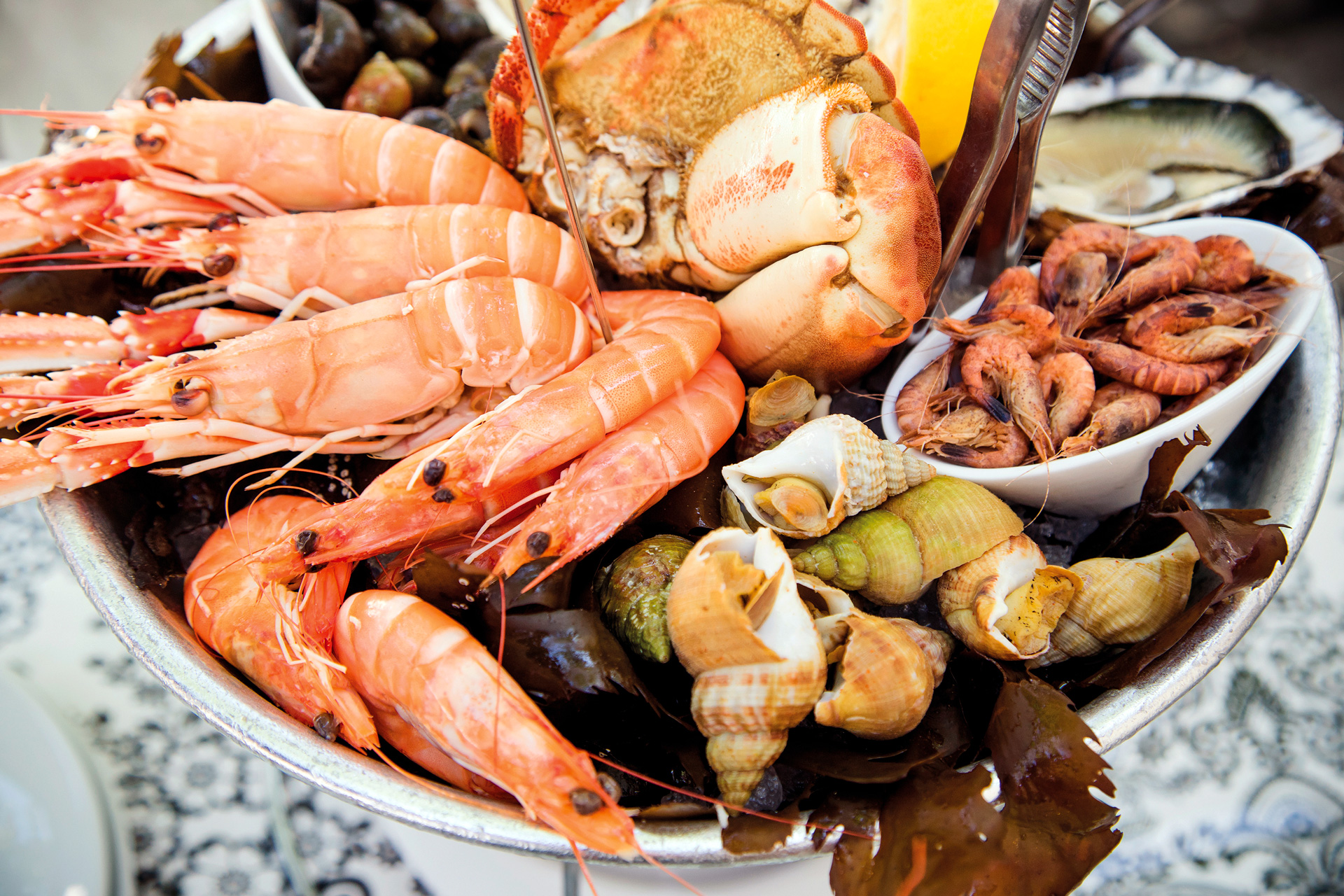 AdobeStock_228486480 AdobeStock_228486480