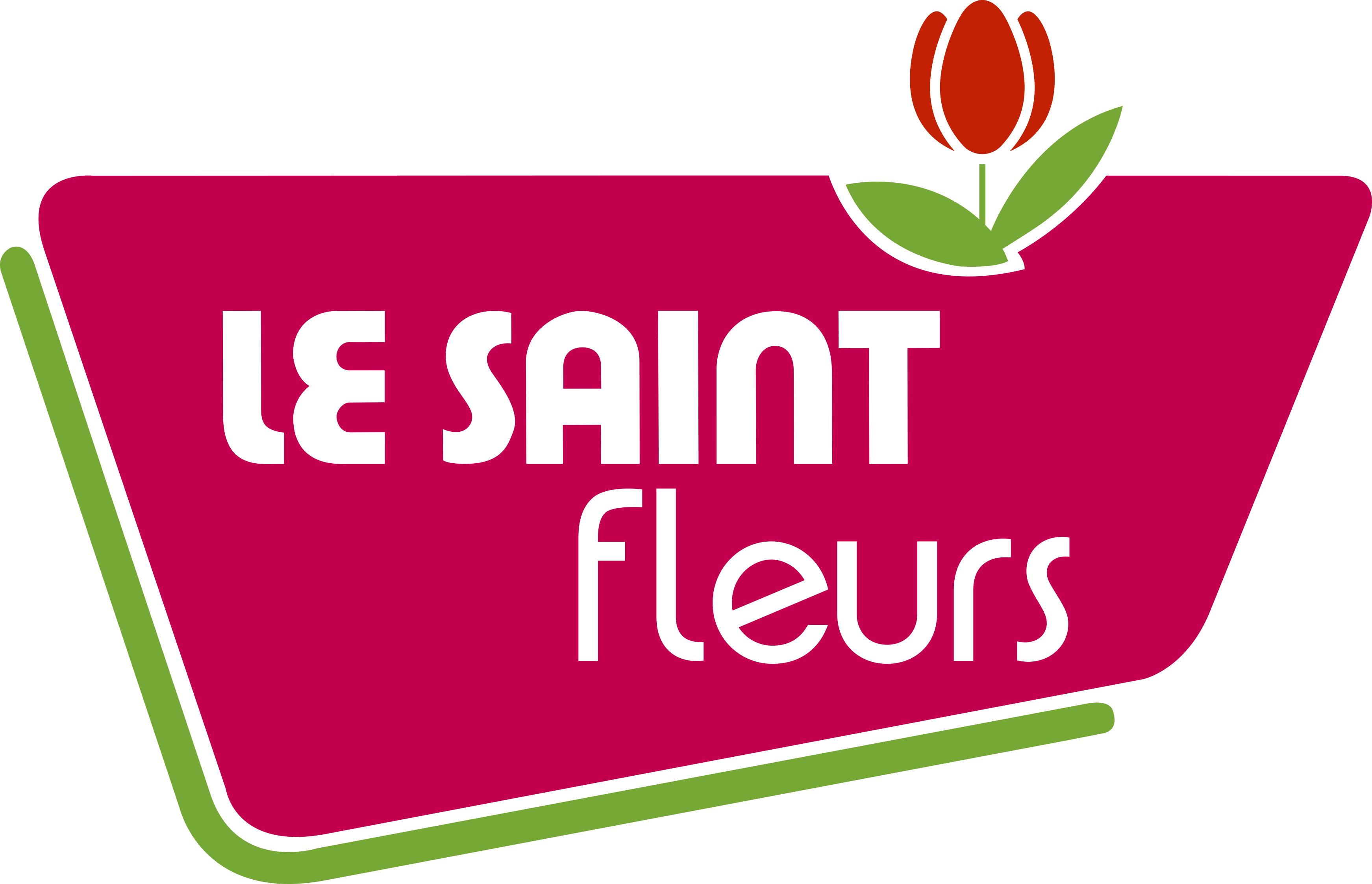 LeSaintFleurs_RVB LeSaintFleurs_RVB