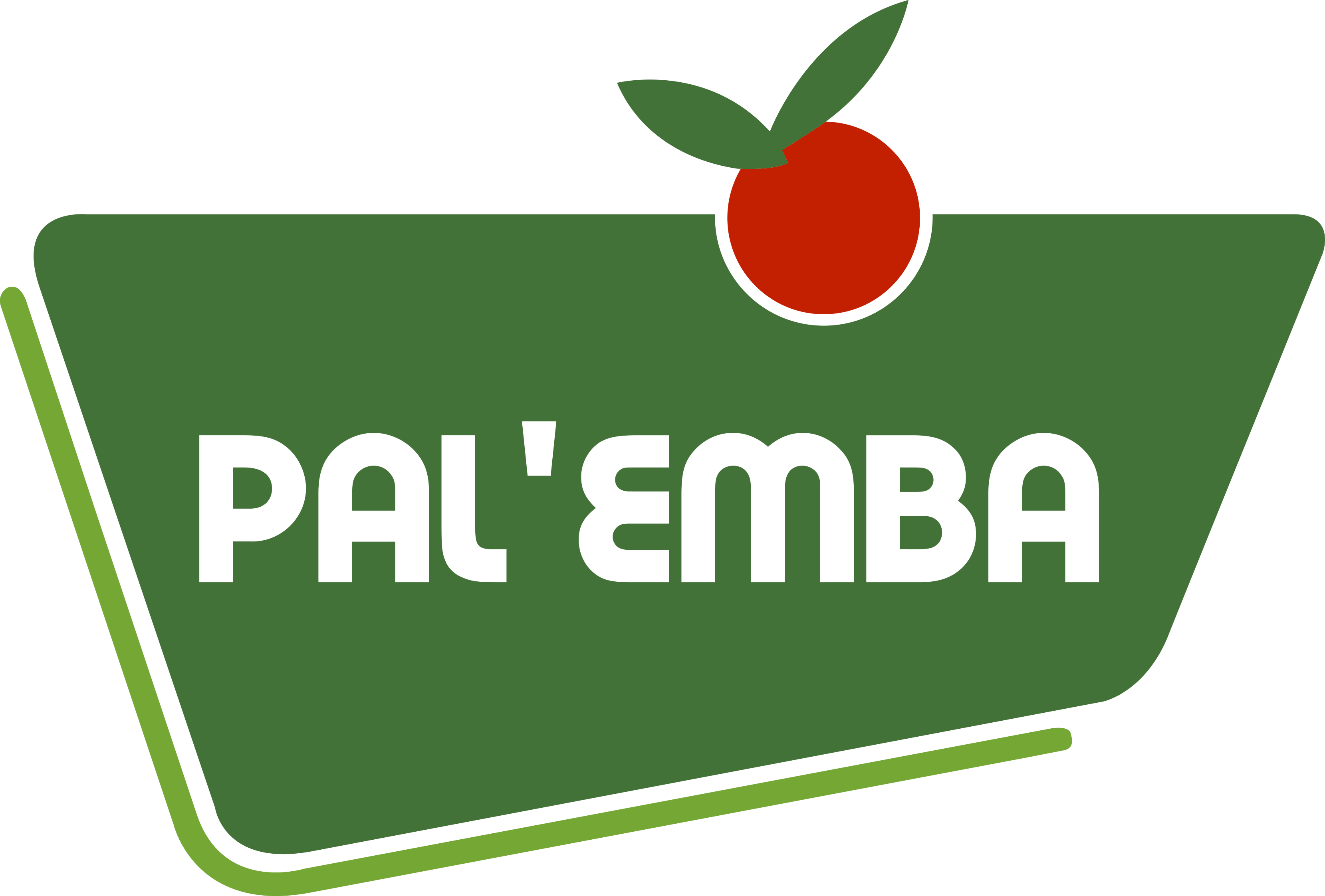 Palemba_RVB Palemba_RVB