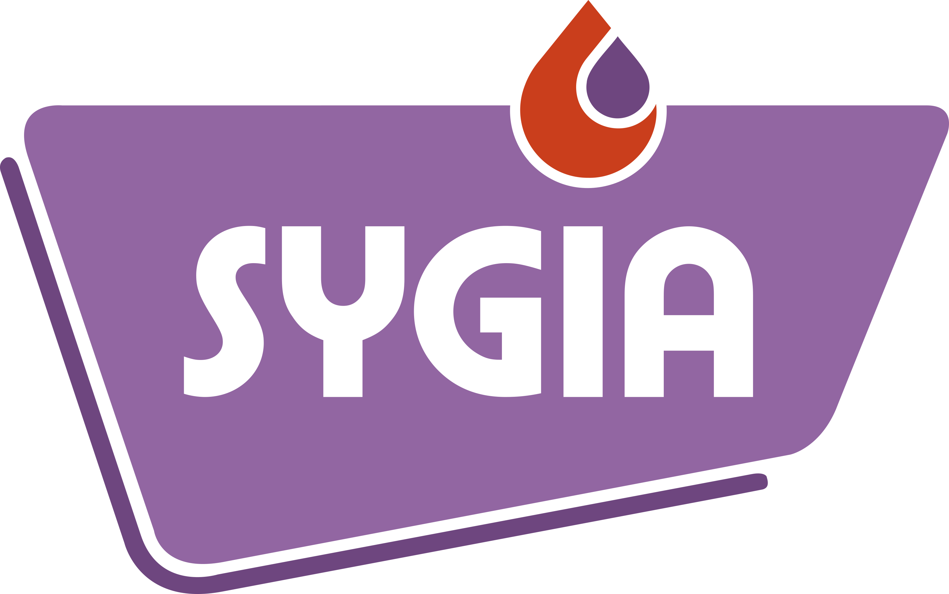 Sygia_RVB Sygia_RVB