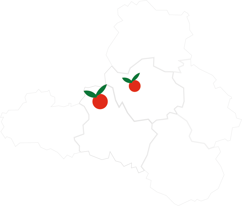 Carte Champagne Bourgogne Primeurs